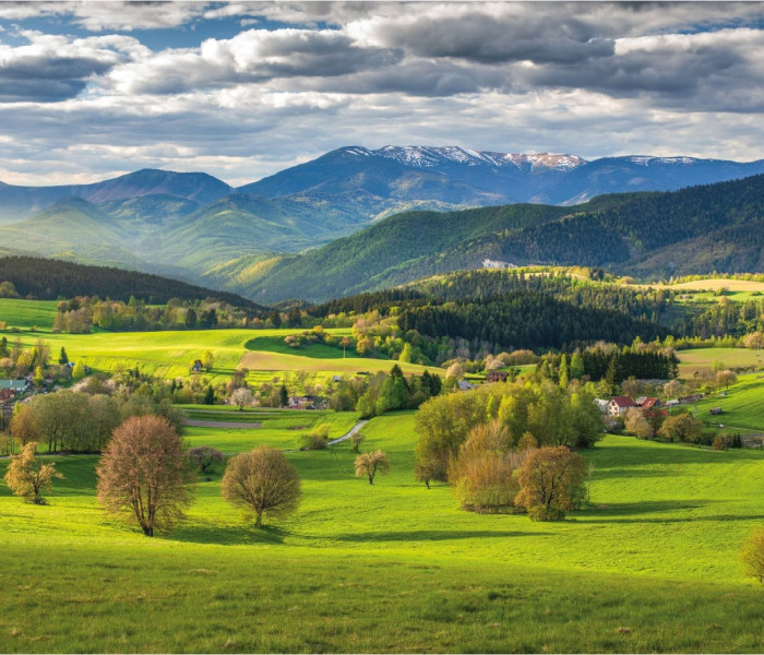 Puzzle - Dino - Forrás Povrazník felett