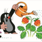Puzzle - Dino - Vakond