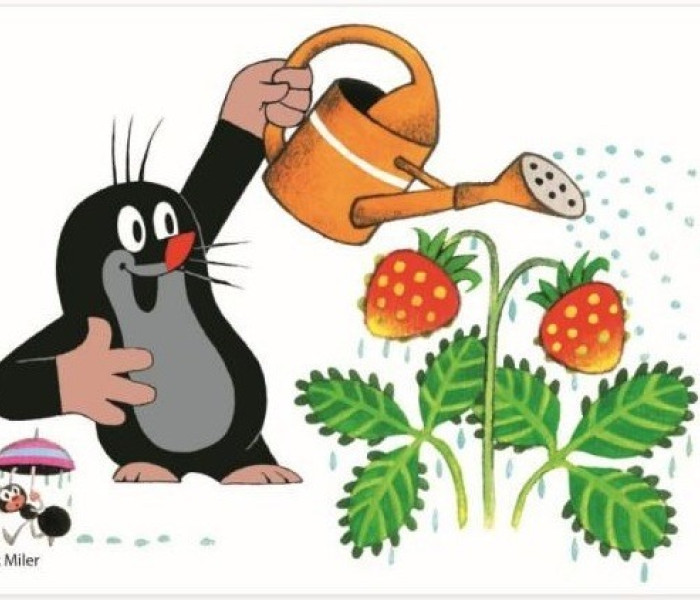 Puzzle - Dino - Vakond