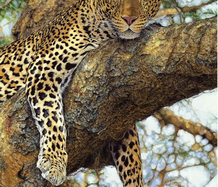 Puzzle - Dino - Leopárd