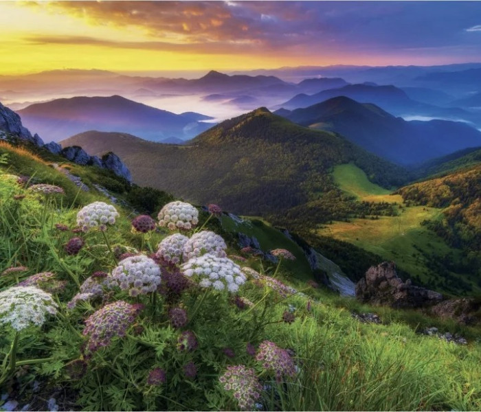 Puzzle - Dino - Kis Fátra