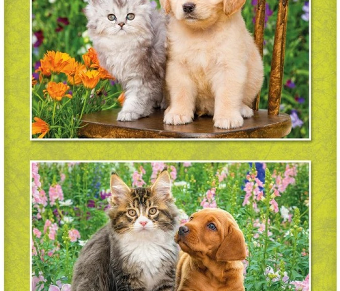 Puzzle - Dino - Kutya és macska a kertben