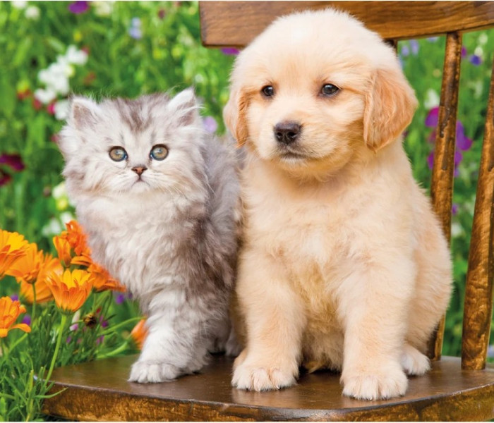 Puzzle - Dino - Kutya és macska a kertben