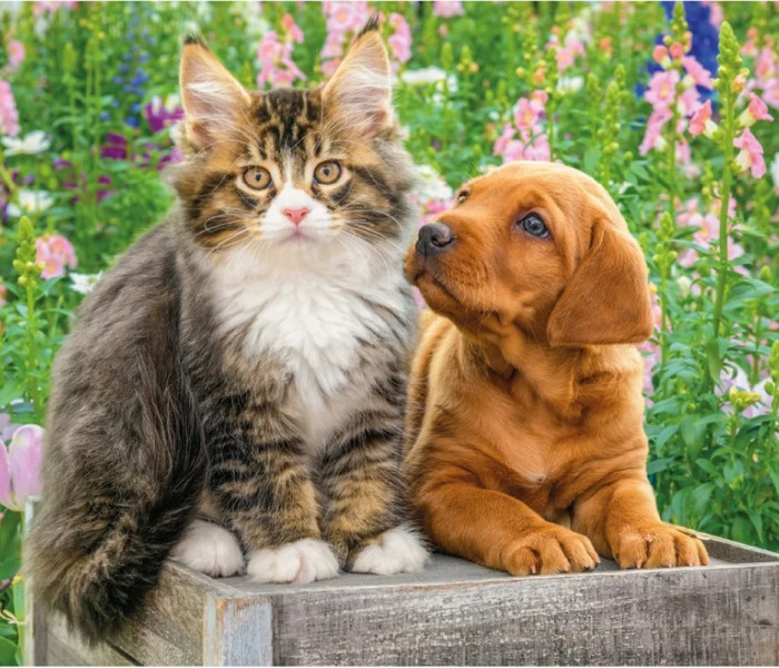 Puzzle - Dino - Kutya és macska a kertben