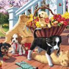 Puzzle - Dino - Kölyökkutyák secret collection