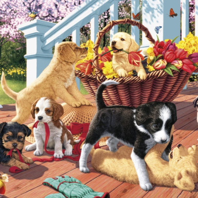 Kölyökkutyák secret collection