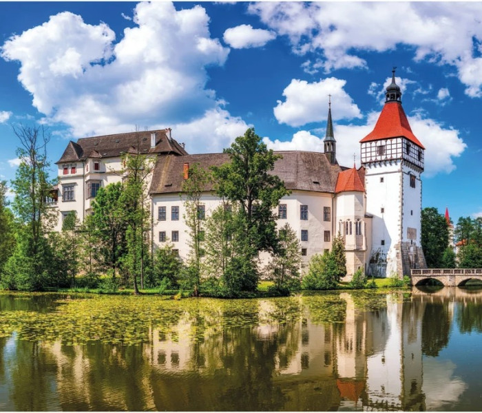 Puzzle - Dino - Blatná vára