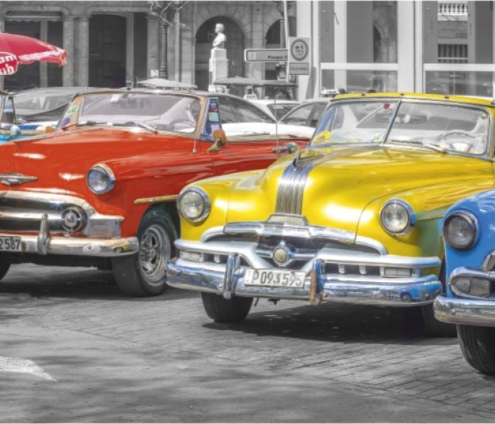 Puzzle - Dino - Veteránok találkozója - Panoramatikus Puzzle