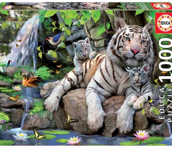 Puzzle - Educa - Fehér tigrisek