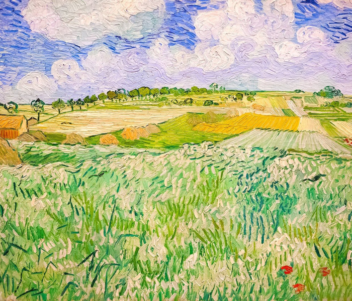 Puzzle - Enjoy - Tájkép Auvers-ben