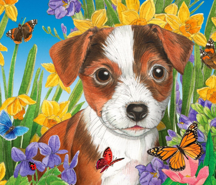 Puzzle - Enjoy - Kölyökkutyák a kertben