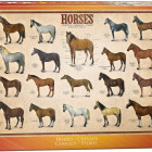 Puzzle - Eurographics - Lovak