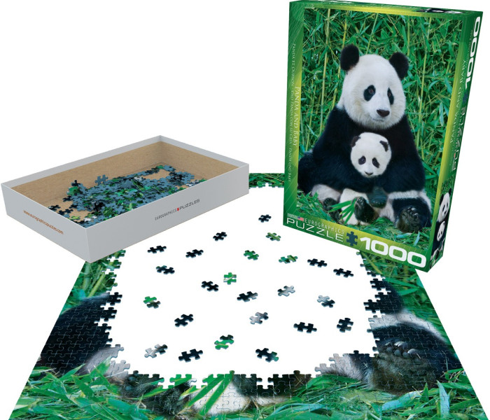 Puzzle - Eurographics - Panda és kölyök