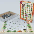 Puzzle - Eurographics - Fűszerek és gyógynövények