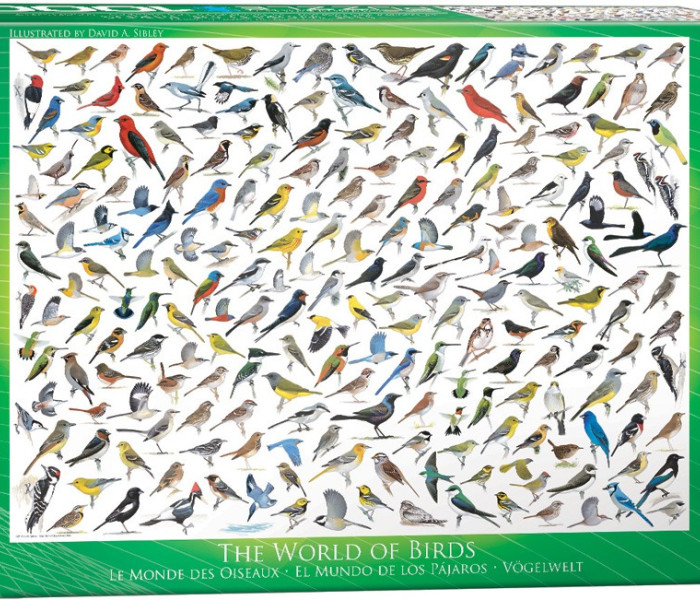Puzzle - Eurographics - Madarak világa