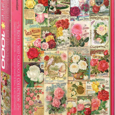 Rózsamagok