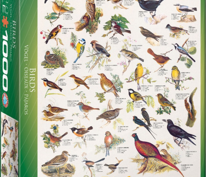 Puzzle - Eurographics - Madarak