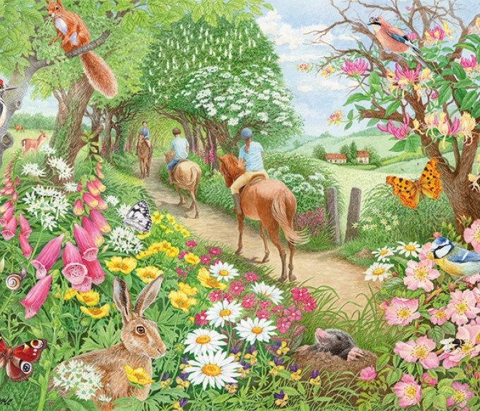 Puzzle - Falcon - Délutáni lovaglás