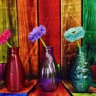 Puzzle - Grafika - Színes vázák virágokkal