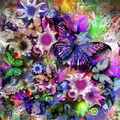 Virágok és pillangók