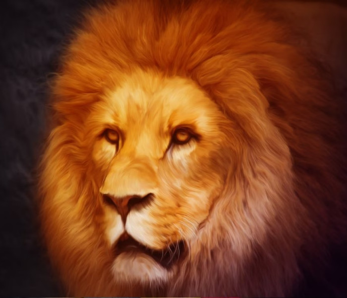 Puzzle - Grafika - Oroszlán