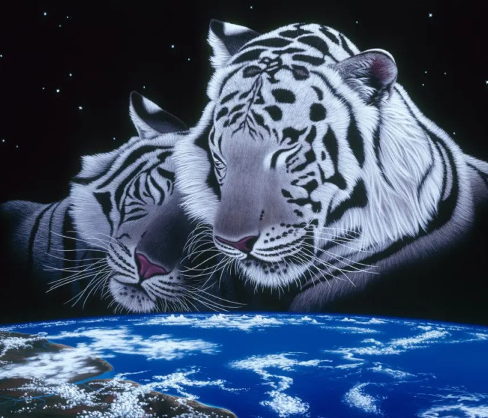 Puzzle - Grafika - Aludj jól