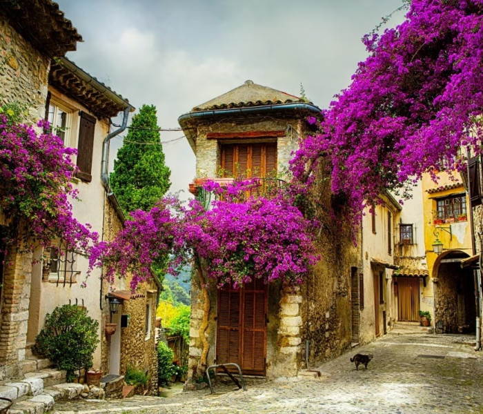 Puzzle - Grafika - Tartomány, Franciaország