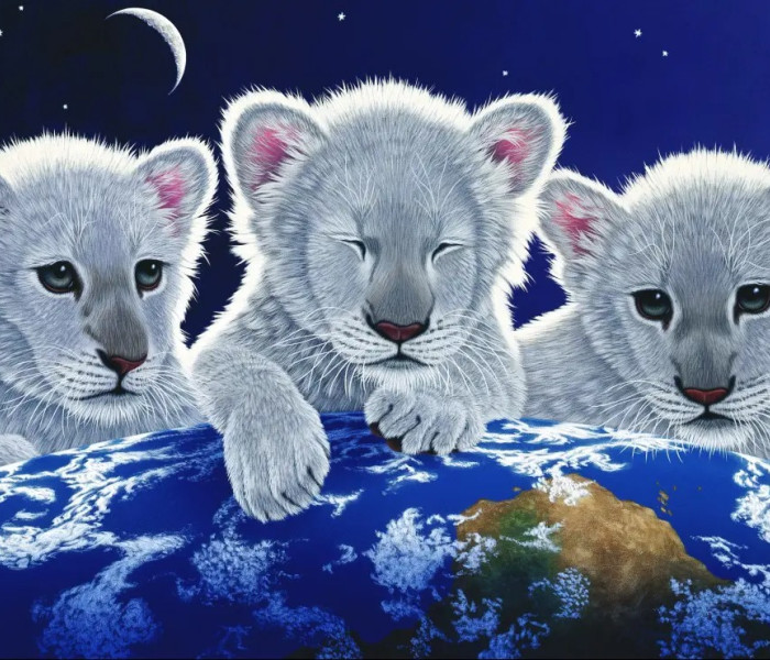 Puzzle - Grafika - Rejtély és remény