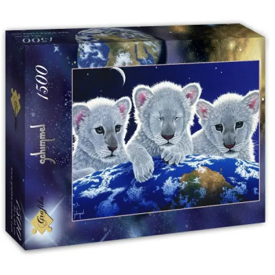 Rejtély és remény