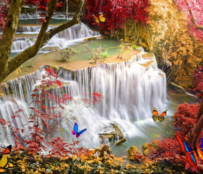 Puzzle - Grafika - Vízesés a mély erdőben