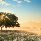 Puzzle - Heye - Fényjáték - Panoramatikus Puzzle