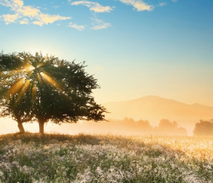 Puzzle - Heye - Fényjáték - Panoramatikus Puzzle