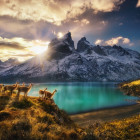 Puzzle - Heye - Guanakók