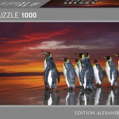 Királypingvinek - Panoramatikus Puzzle