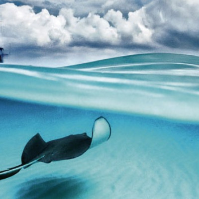 Fénysugár - Panoramatikus Puzzle