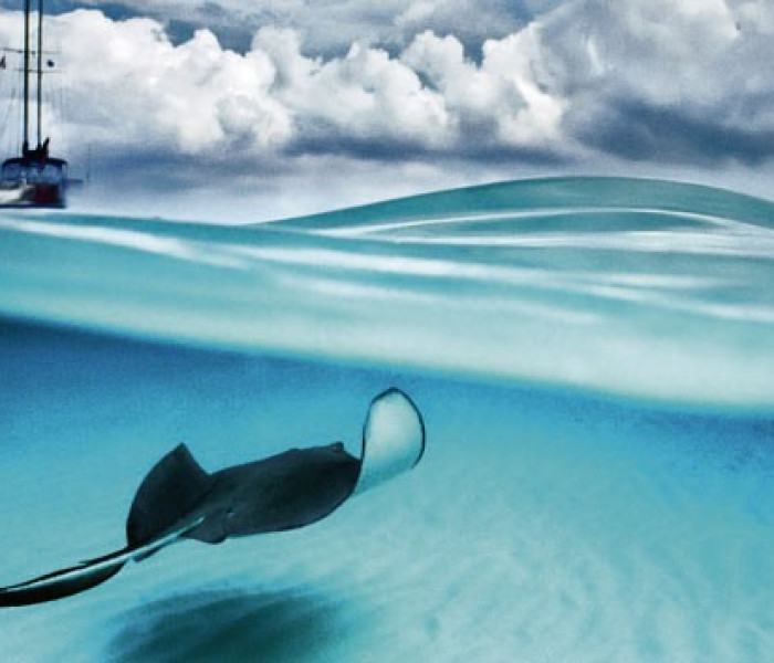 Puzzle - Heye - Fénysugár - Panoramatikus Puzzle