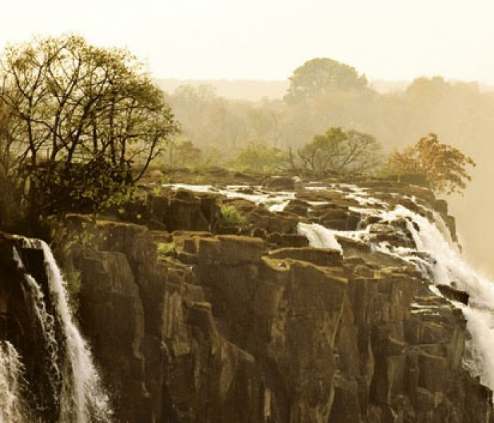 Puzzle - Heye - Elefánt - Panoramatikus Puzzle