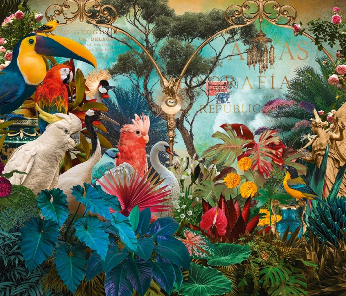 Puzzle - Heye - Madársokféleség