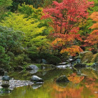 Puzzle - Heye - Zen-tükörkép - Panoramatikus Puzzle