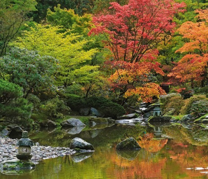 Puzzle - Heye - Zen-tükörkép - Panoramatikus Puzzle