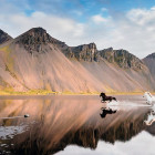 Puzzle - Heye - Izlandi lovak - Panoramatikus Puzzle