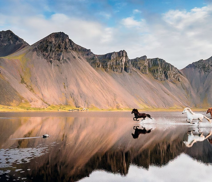 Puzzle - Heye - Izlandi lovak - Panoramatikus Puzzle