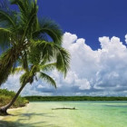 Puzzle - Heye - Pálmaparadicsom - Panoramatikus Puzzle