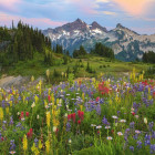 Puzzle - Heye - Tatoosh-hegység