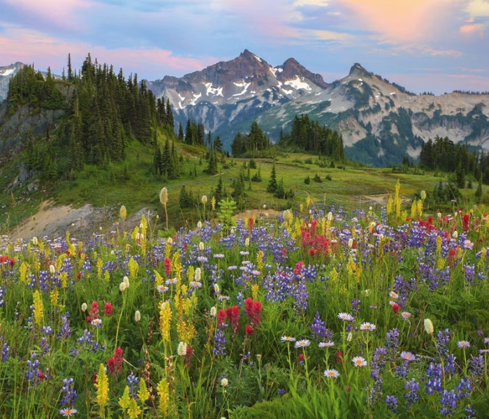 Puzzle - Heye - Tatoosh-hegység