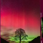 Puzzle - Heye - Robin Hood fa