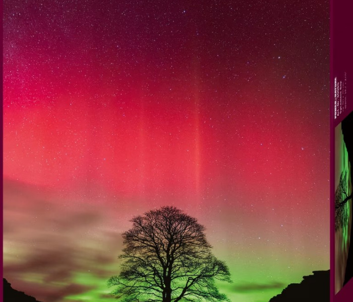 Puzzle - Heye - Robin Hood fa