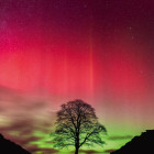 Puzzle - Heye - Robin Hood fa