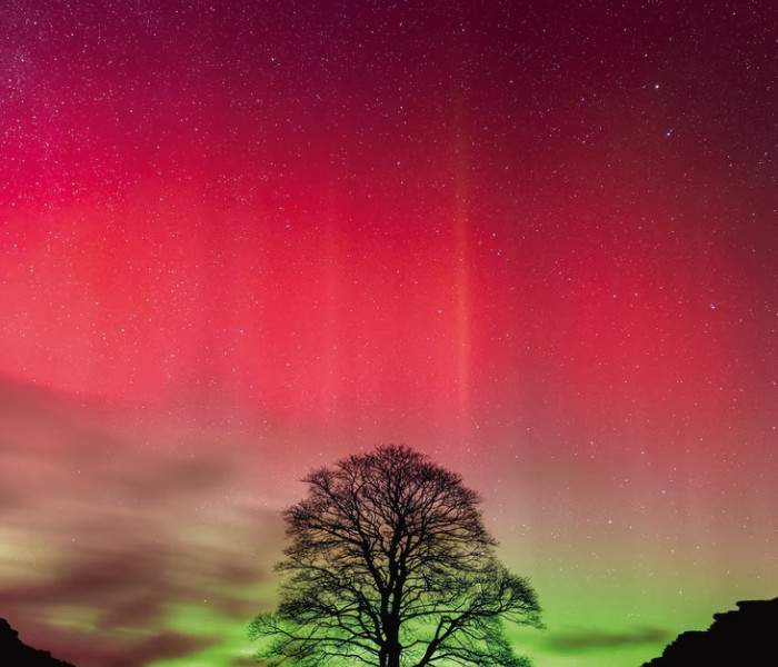 Puzzle - Heye - Robin Hood fa