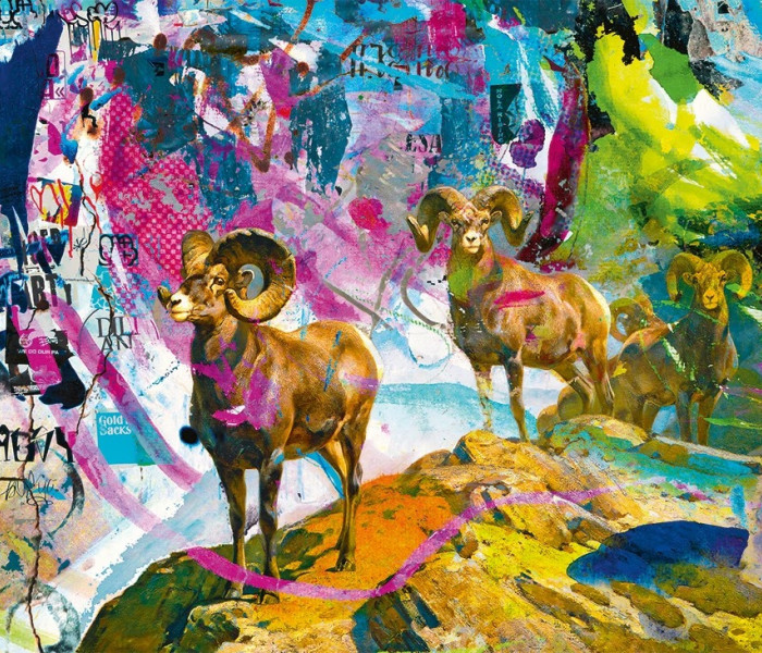 Puzzle - Heye - Nagy szarvak